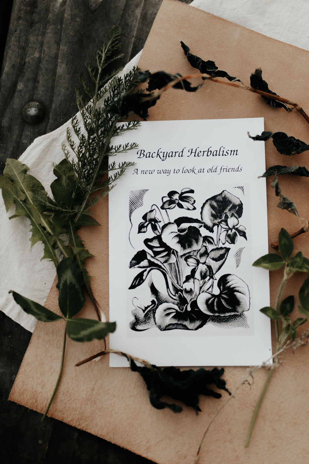Backyard Herbalism Zine