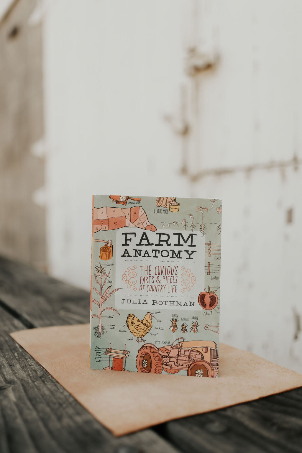Farm Anatomy