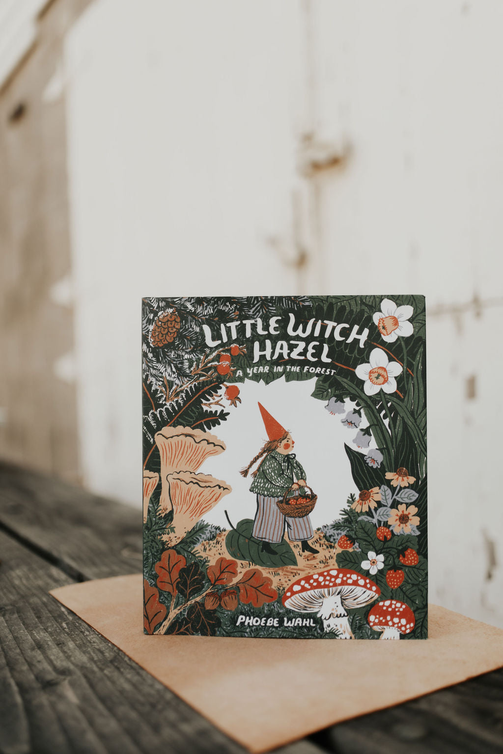 Little Witch Hazel