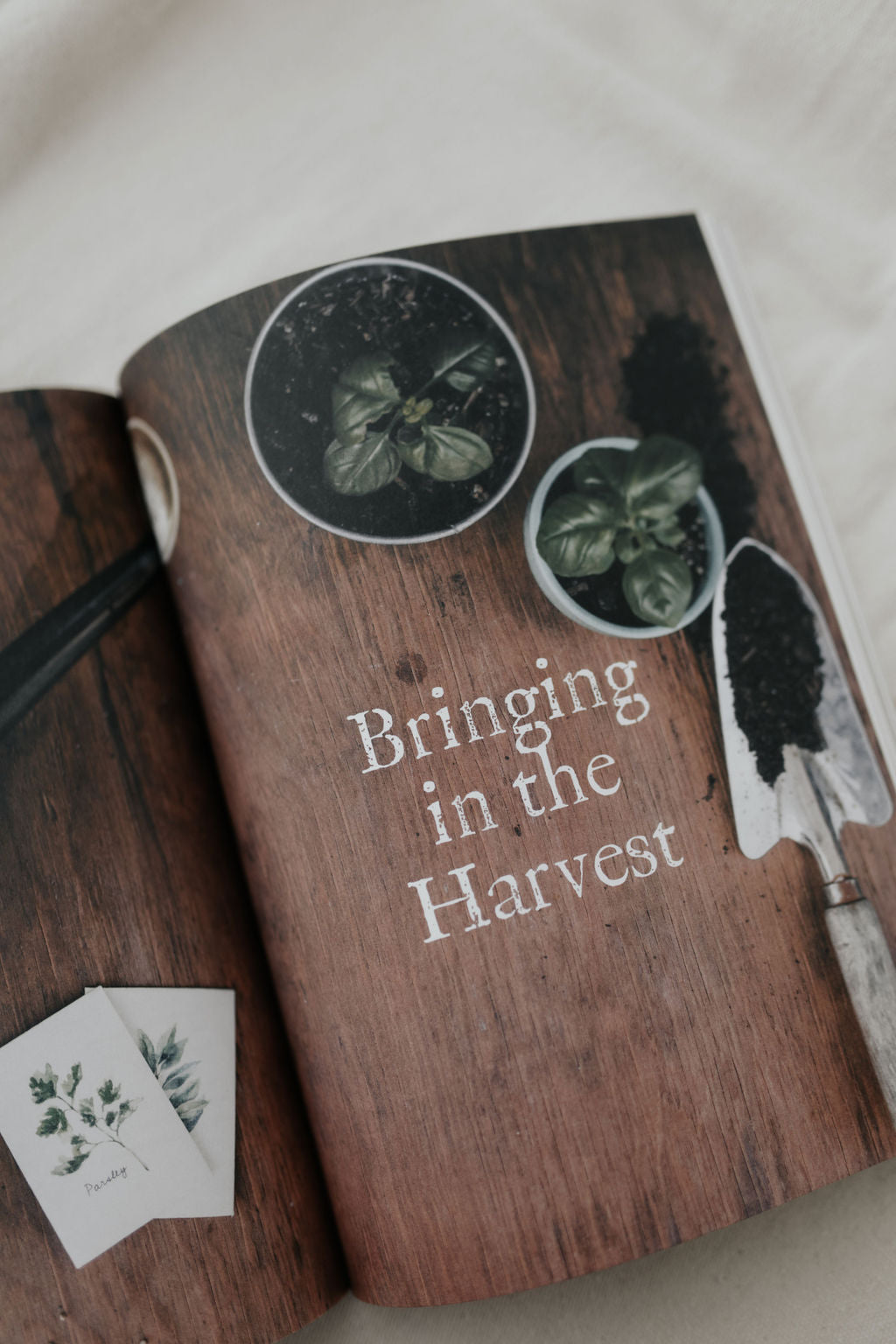 The Family Garden Plan: Grow a Year's Worth of Sustainable and Healthy Food