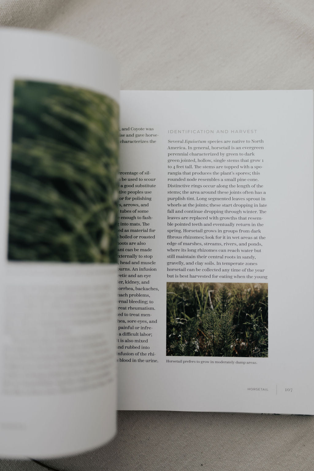 Iwígara: American Indian Ethnobotanical Traditions and Science