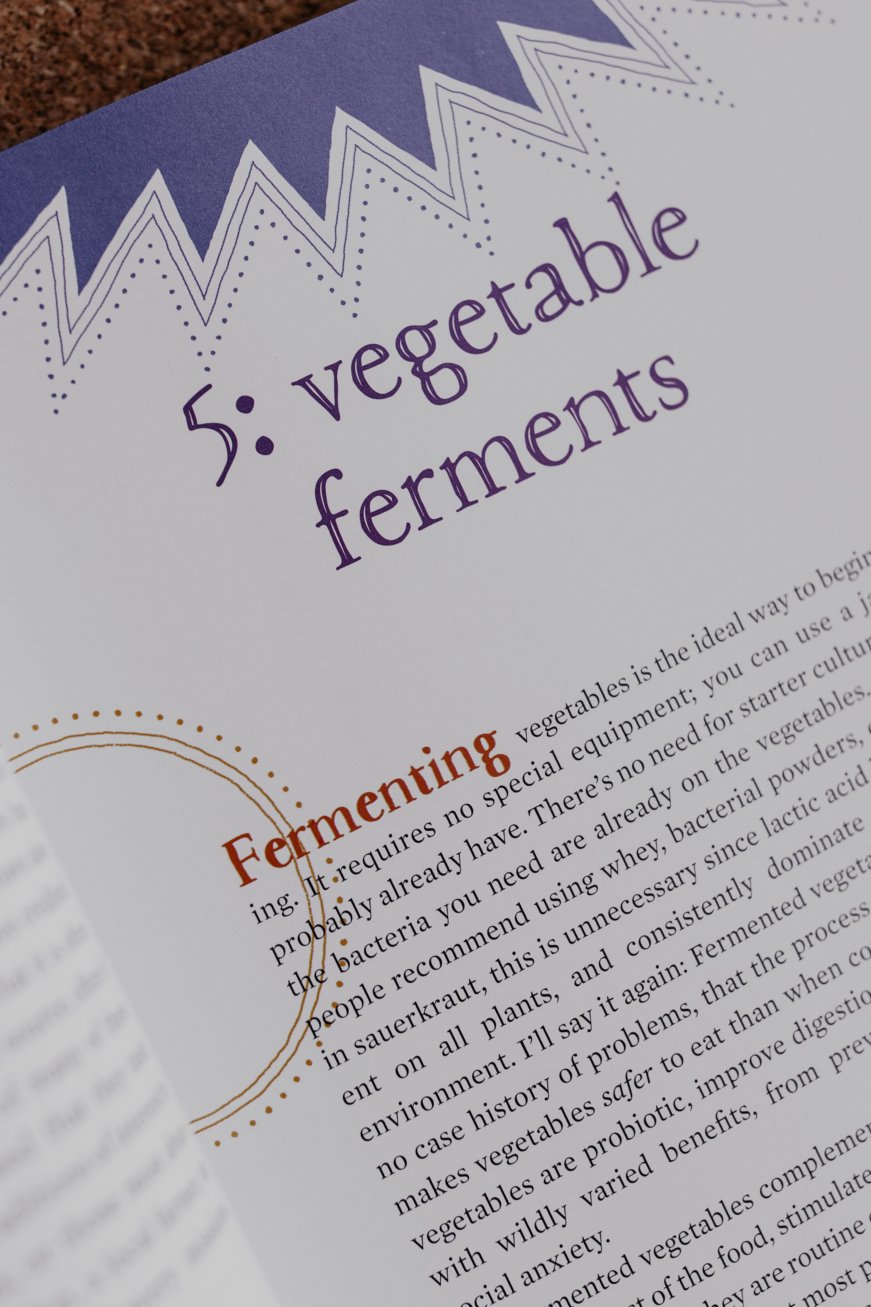 Wild Fermentation Book