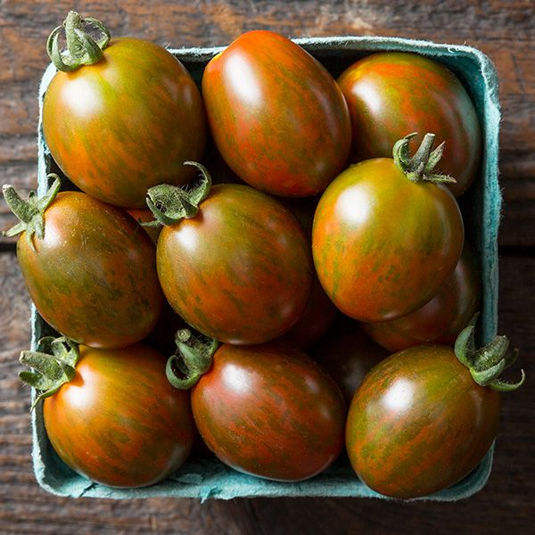 Cherry Tomato Plants