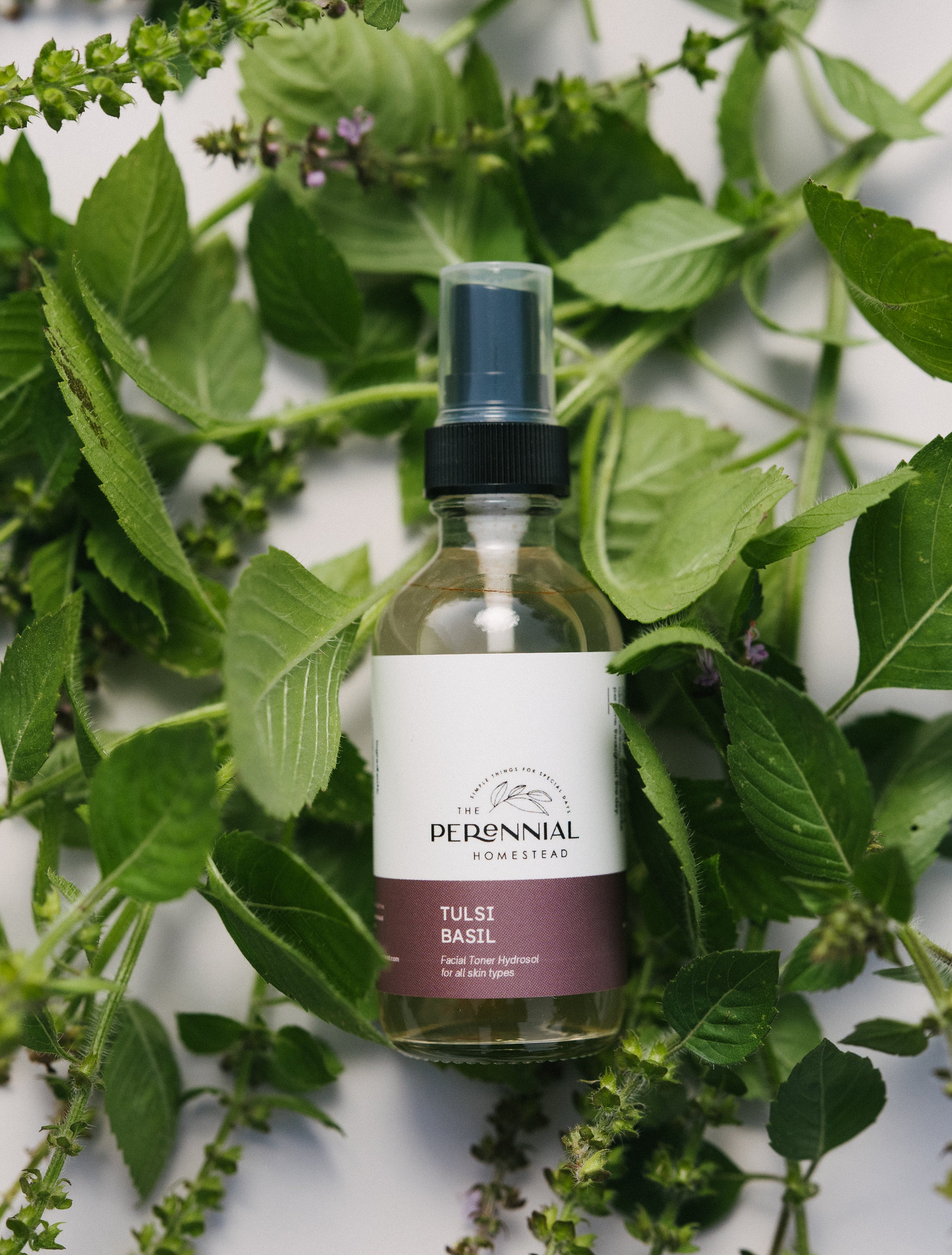 Tulsi Basil Herbal Hydrosol