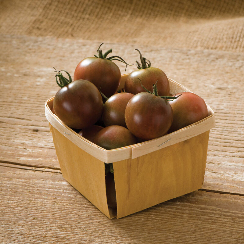 Cherry Tomato Plants