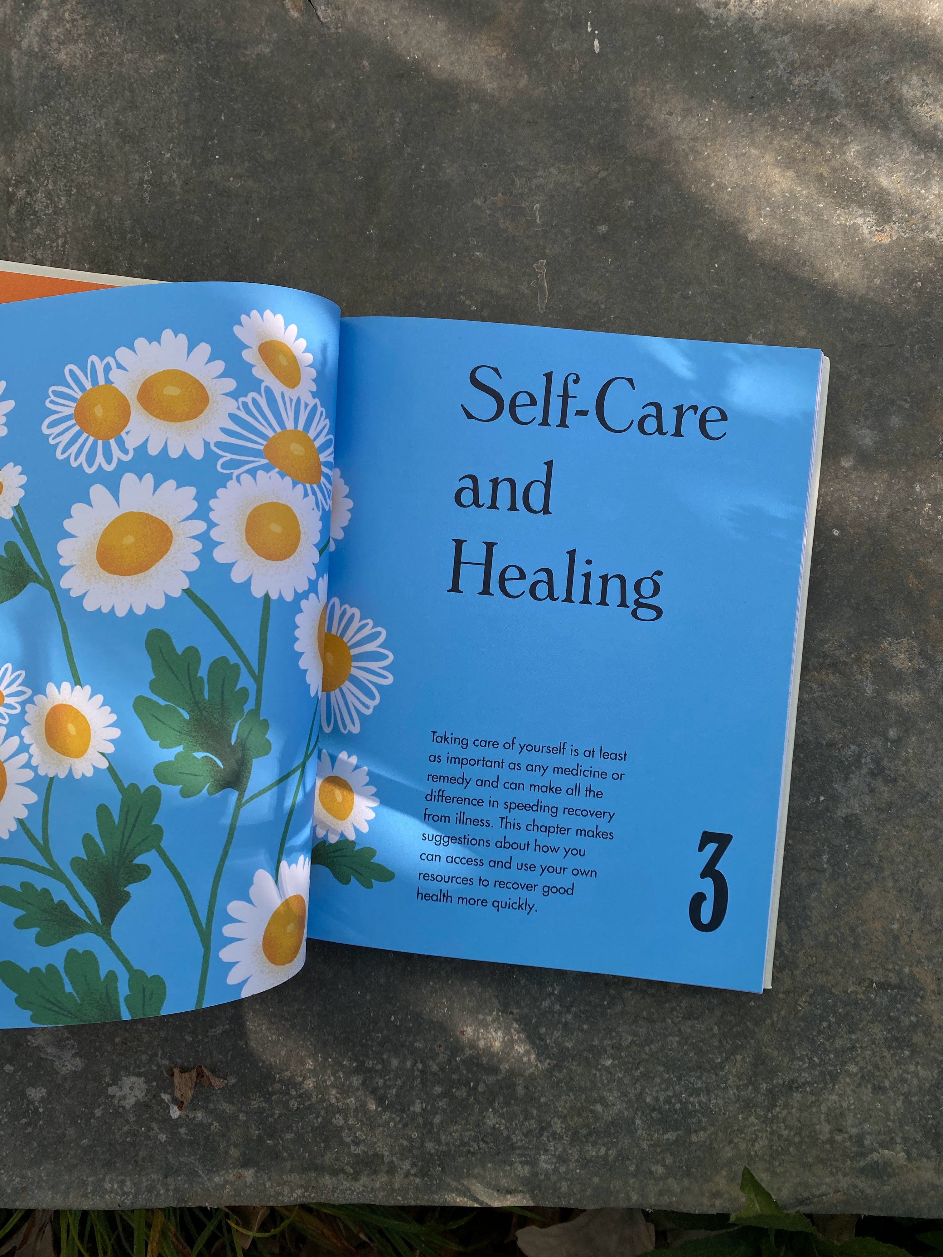 The Home Herbal Book