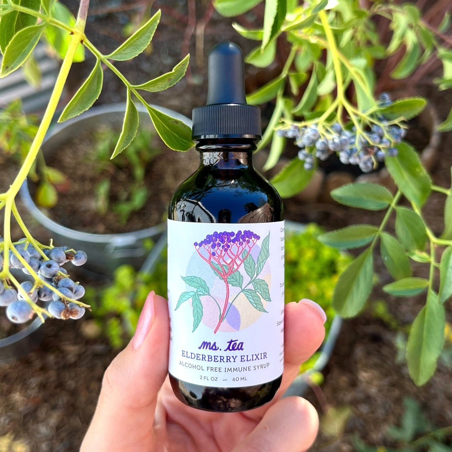 Elderberry Elixir
