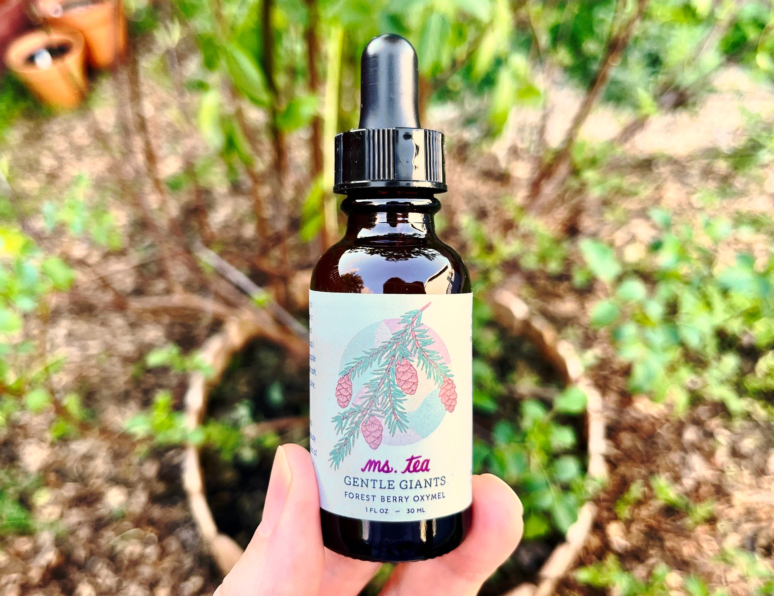 Gentle Giants Herbal Oxymel