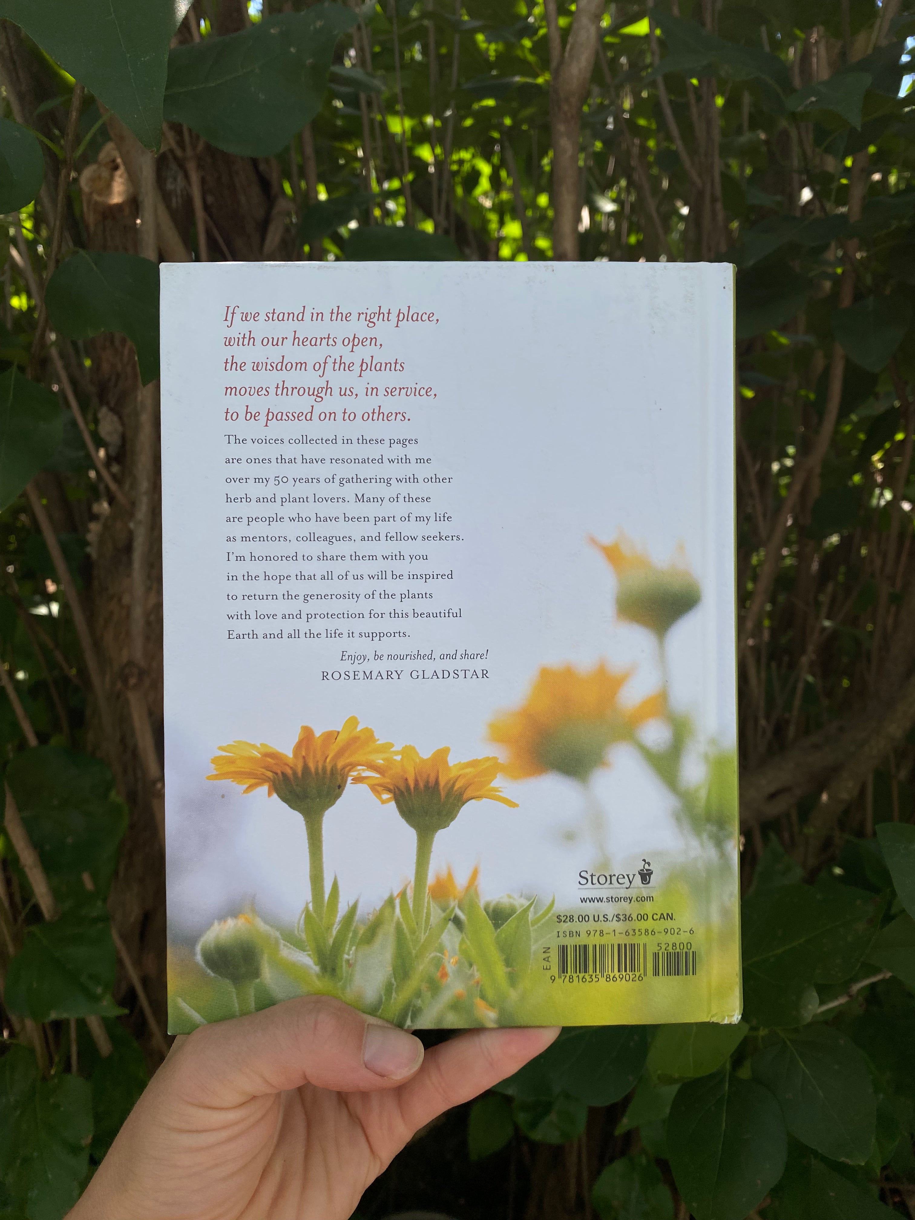 The Generosity of Plants: Shared Wisdom from the Community of Herb Lovers