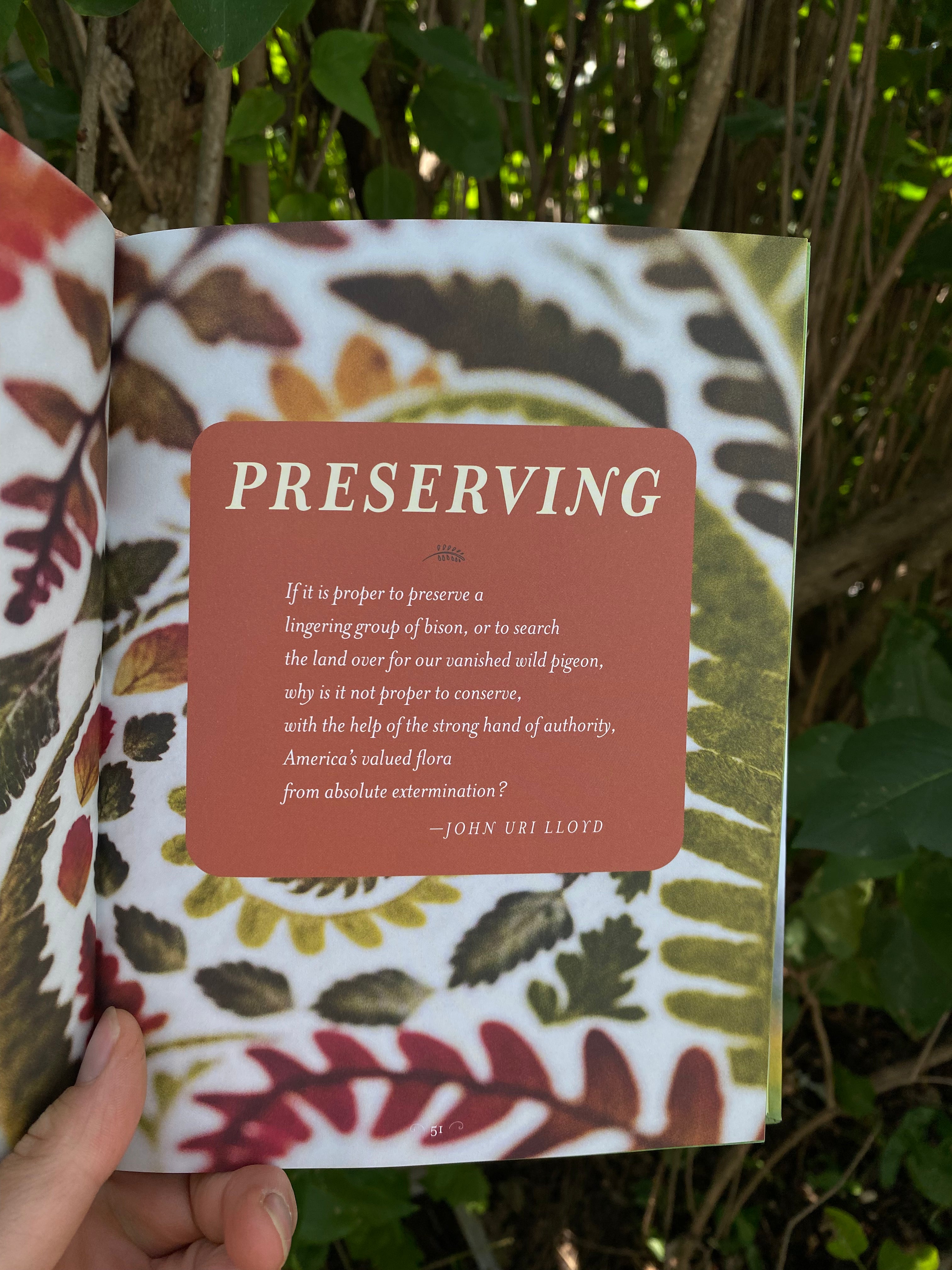 The Generosity of Plants: Shared Wisdom from the Community of Herb Lovers