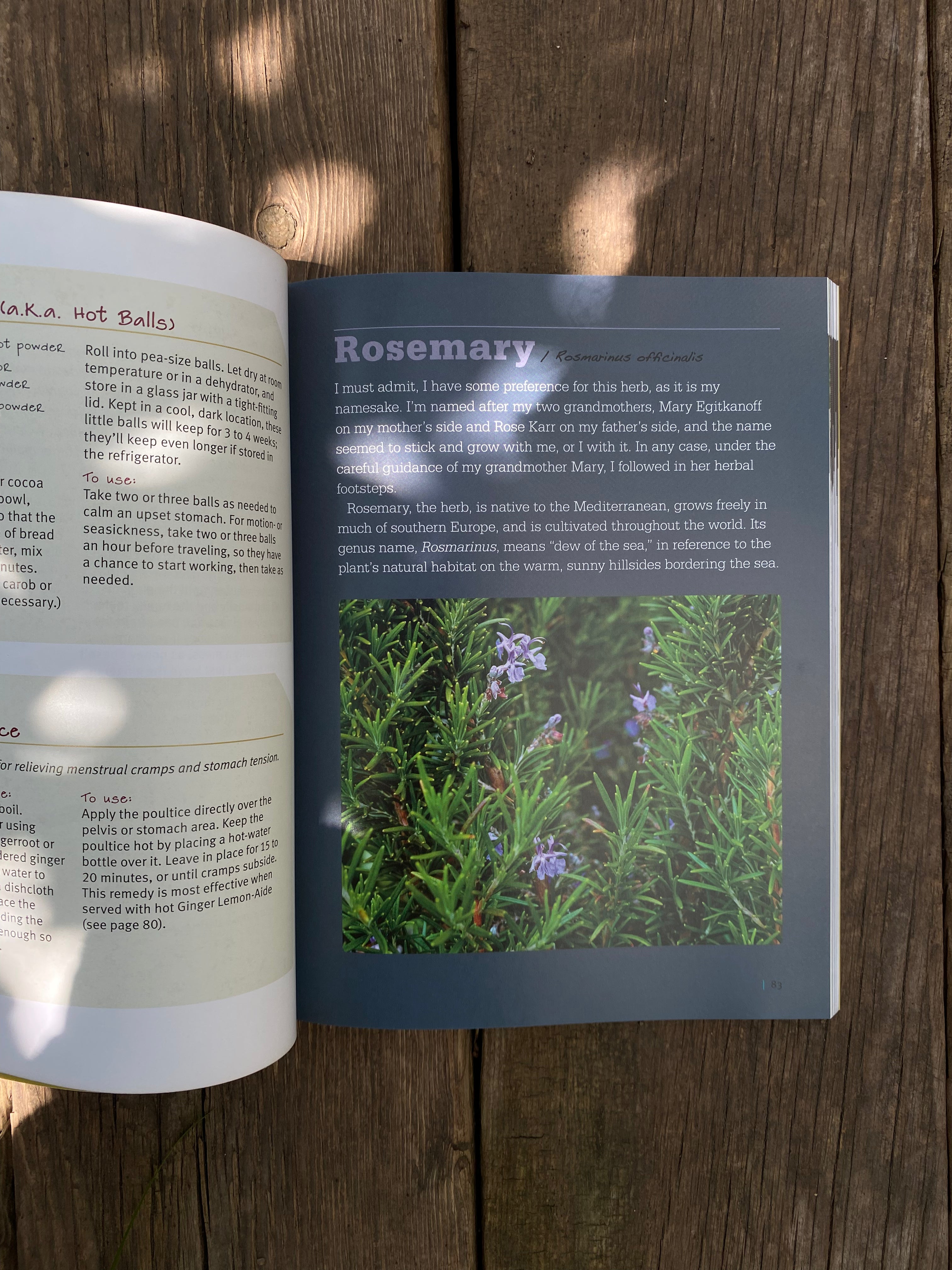 Medicinal Herbs: A Beginner's Guide