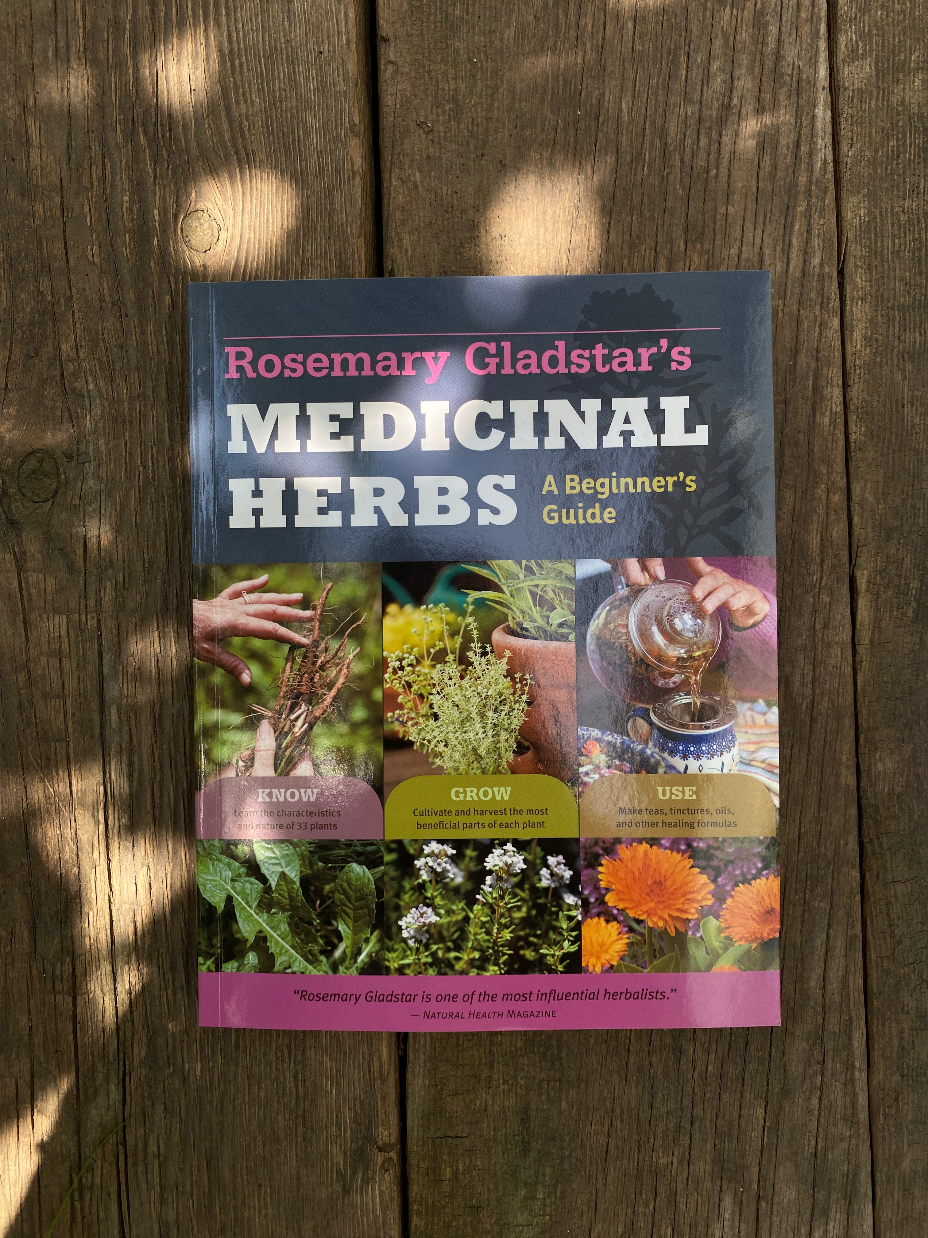 Medicinal Herbs: A Beginner's Guide