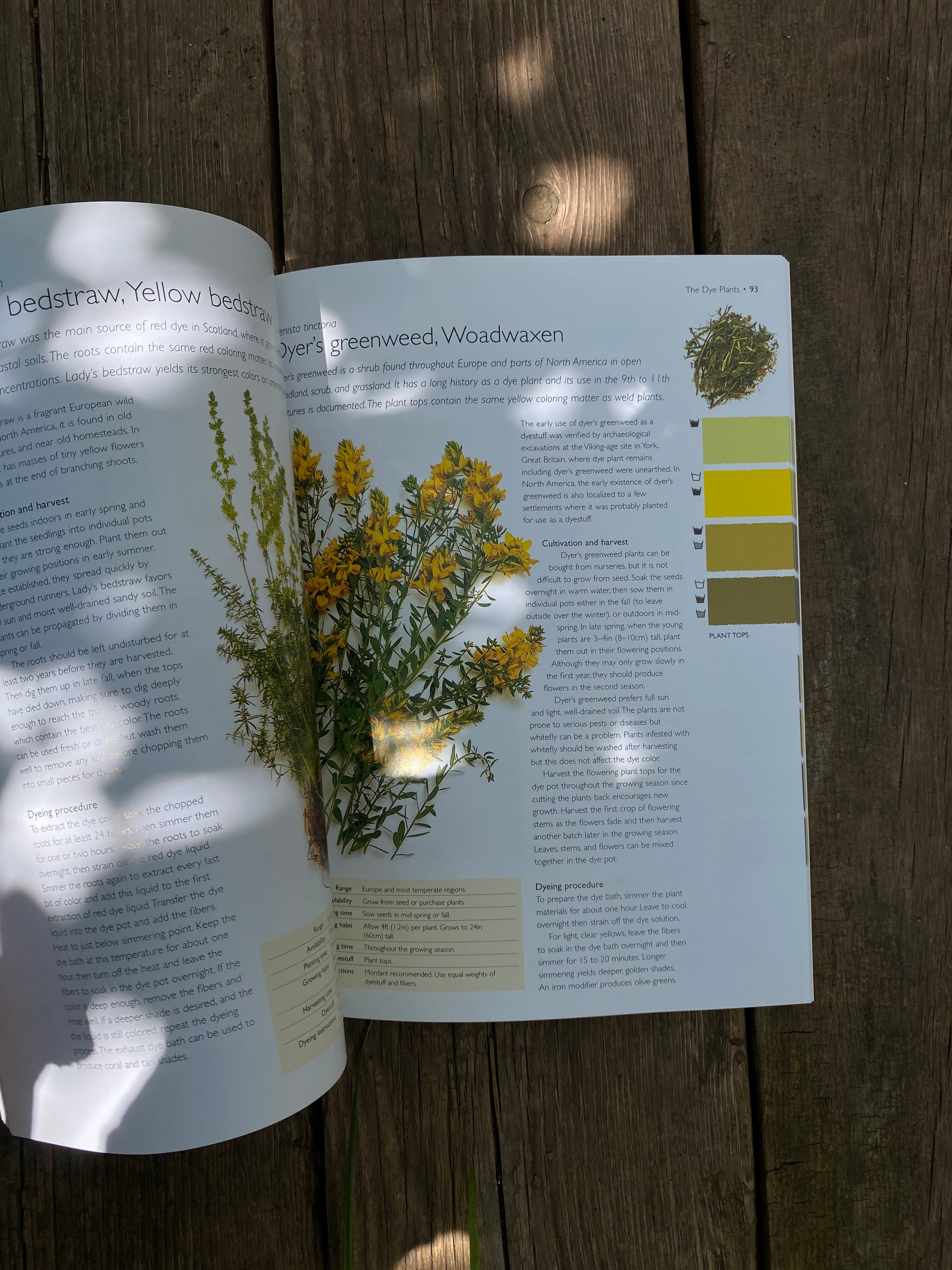 Open book with a floral illustration and color swatches on a wooden surface