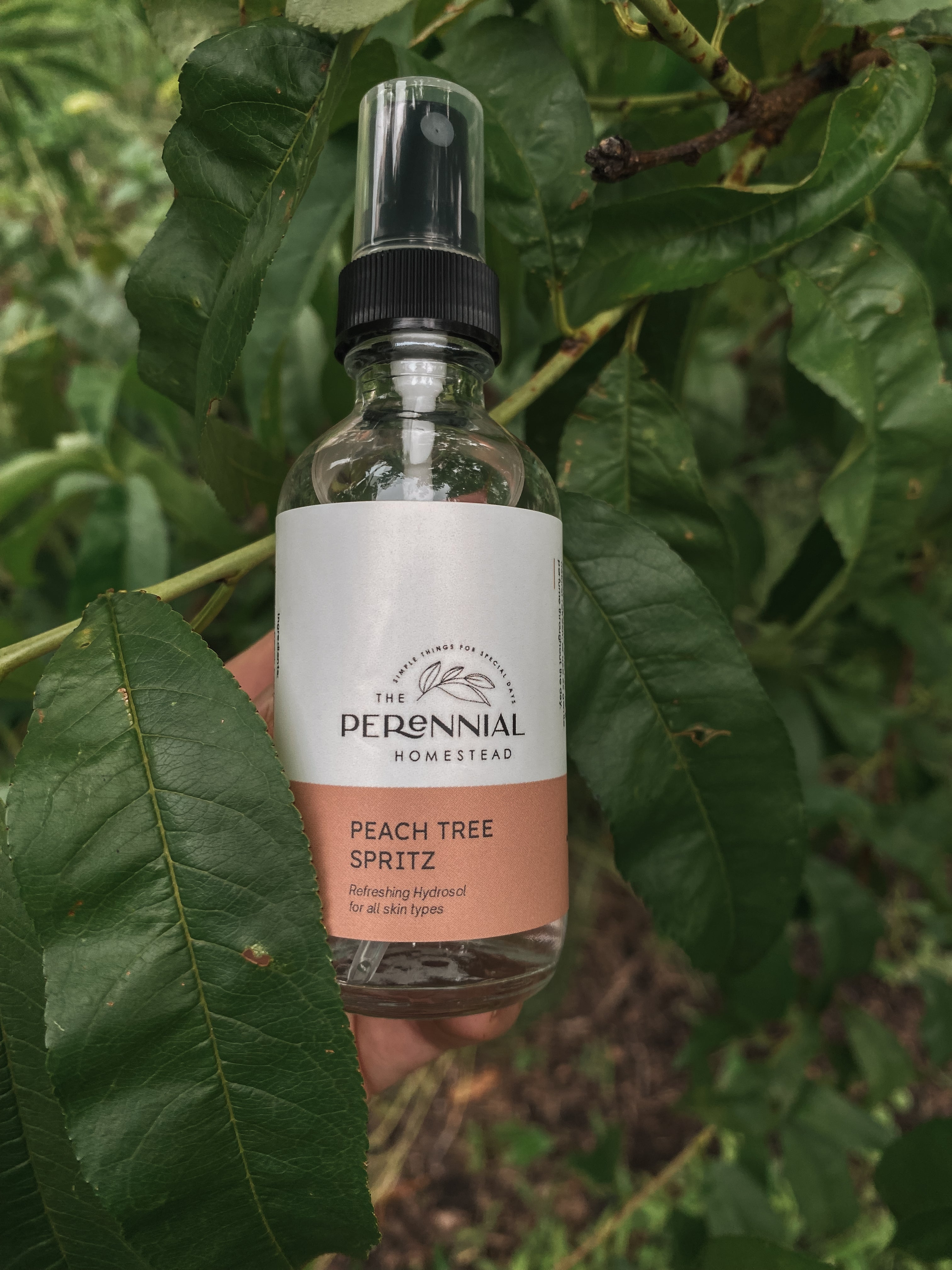 Case of Peach Tree Hydrosol - 6 Bottles