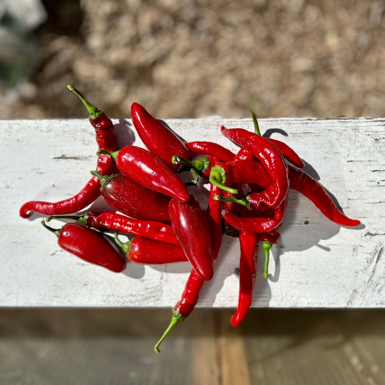 Red Jalapeño Hot Sauce