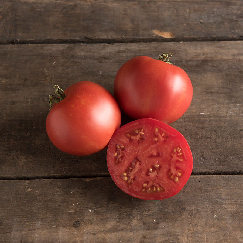 Slicers Tomato Plants