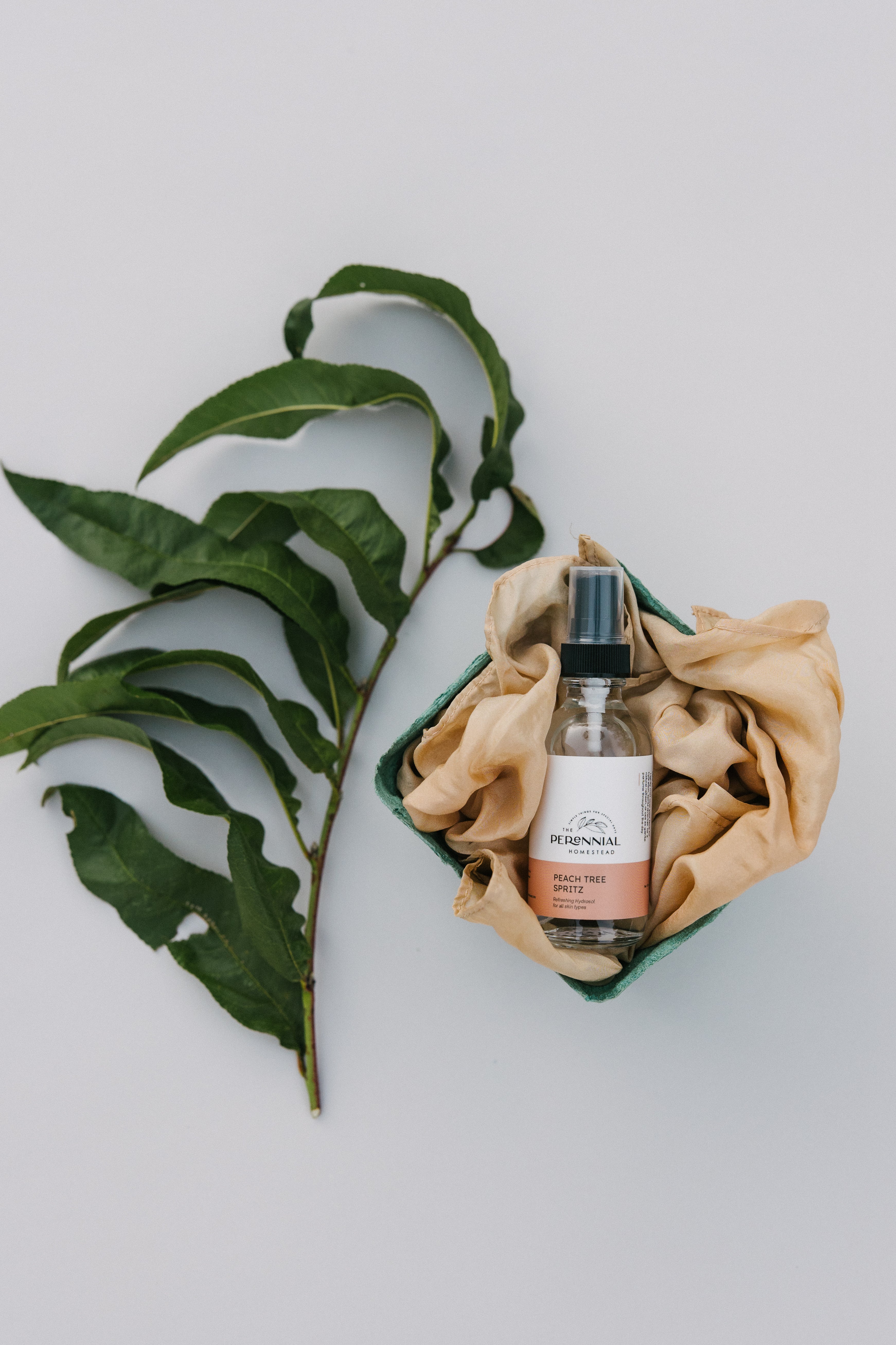 Peach Tree Herbal Hydrosol