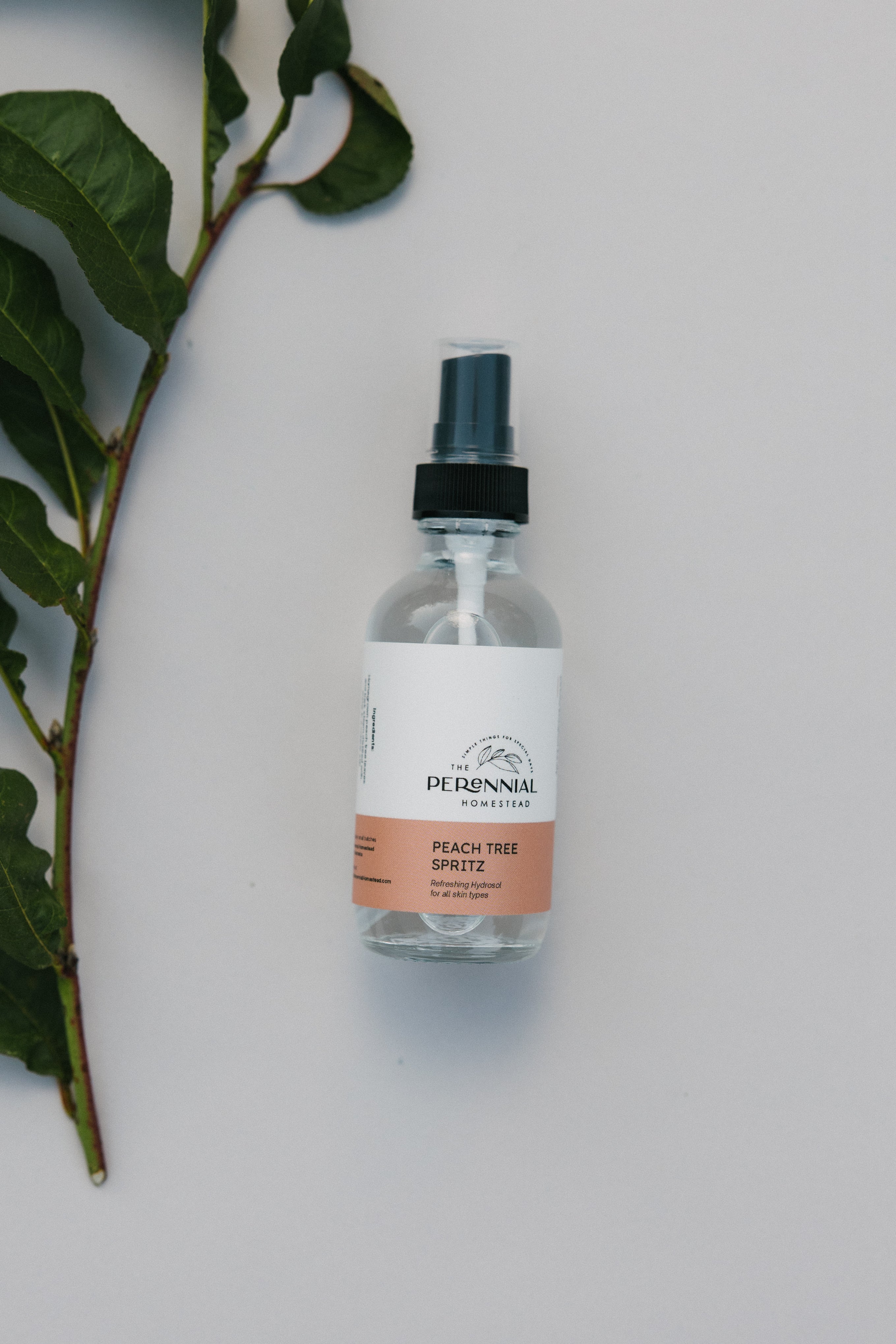 Peach Tree Herbal Hydrosol