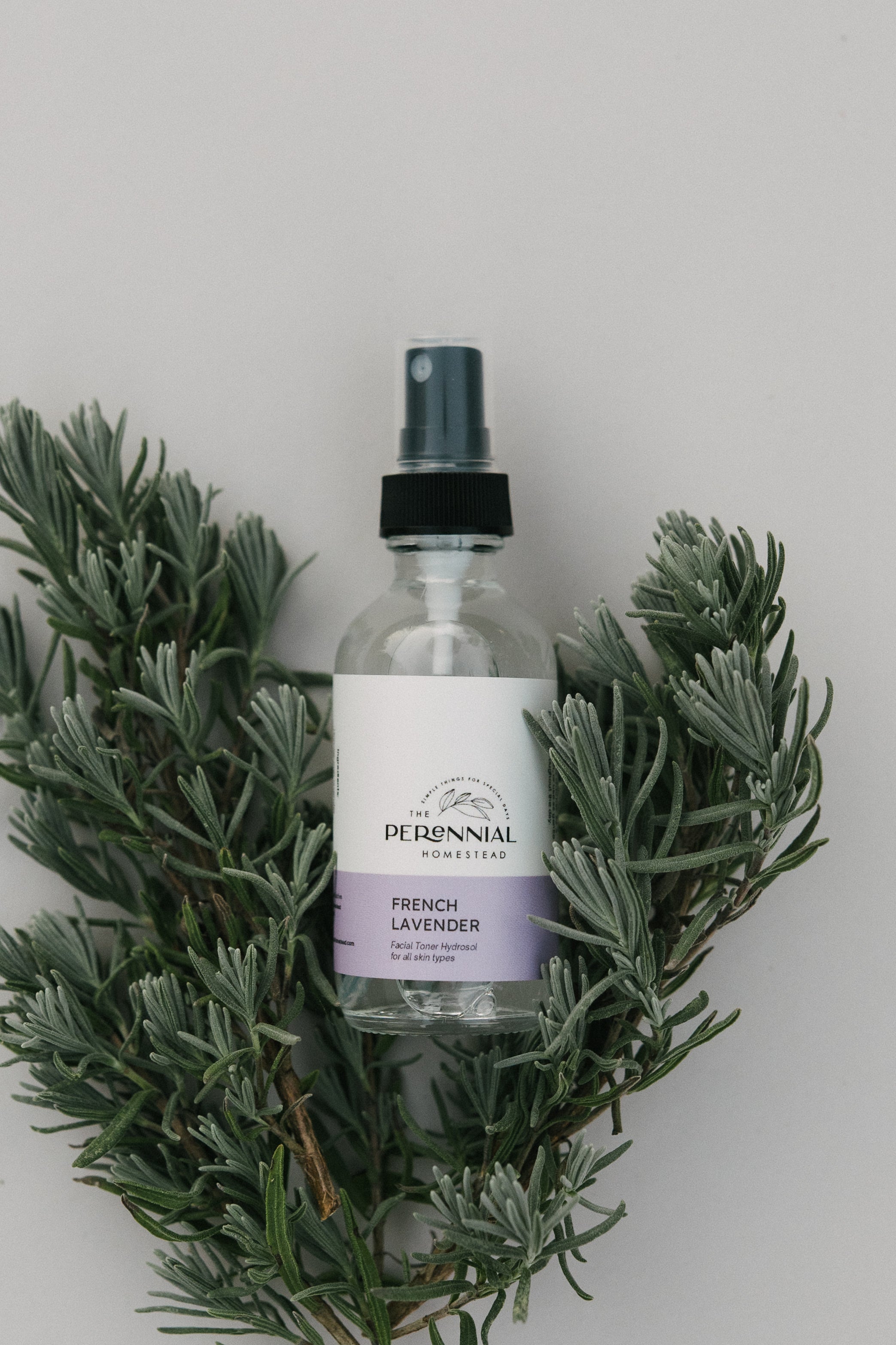 French Lavender Herbal Hydrosol