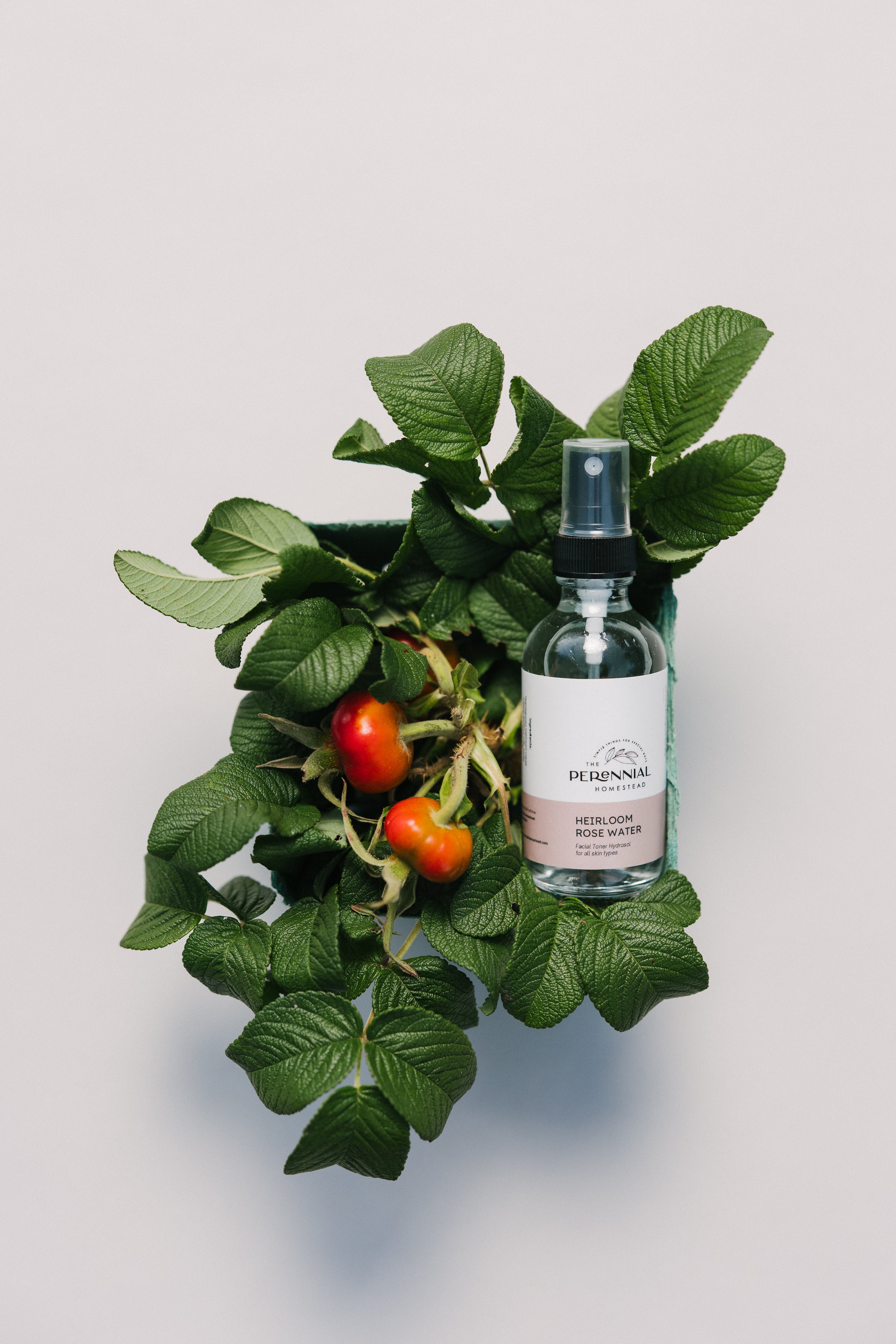 Heirloom Rose Hydrosol