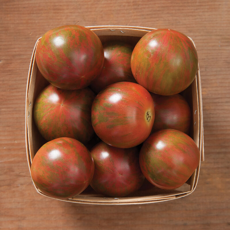 Cherry Tomato Plants