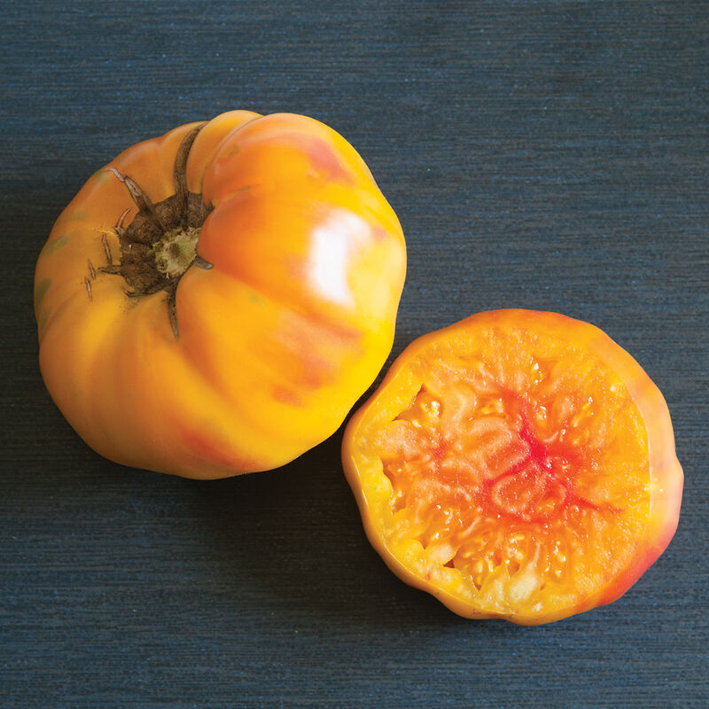 Slicers Tomato Plants
