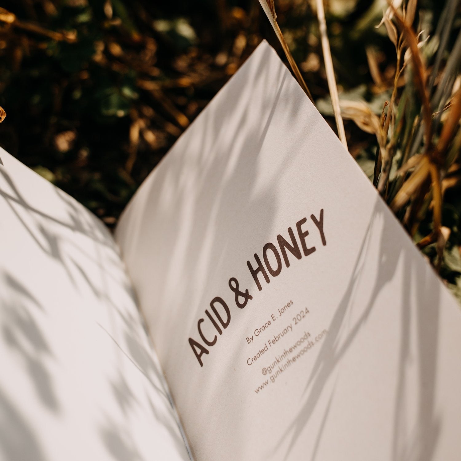 Acid + Honey Zine