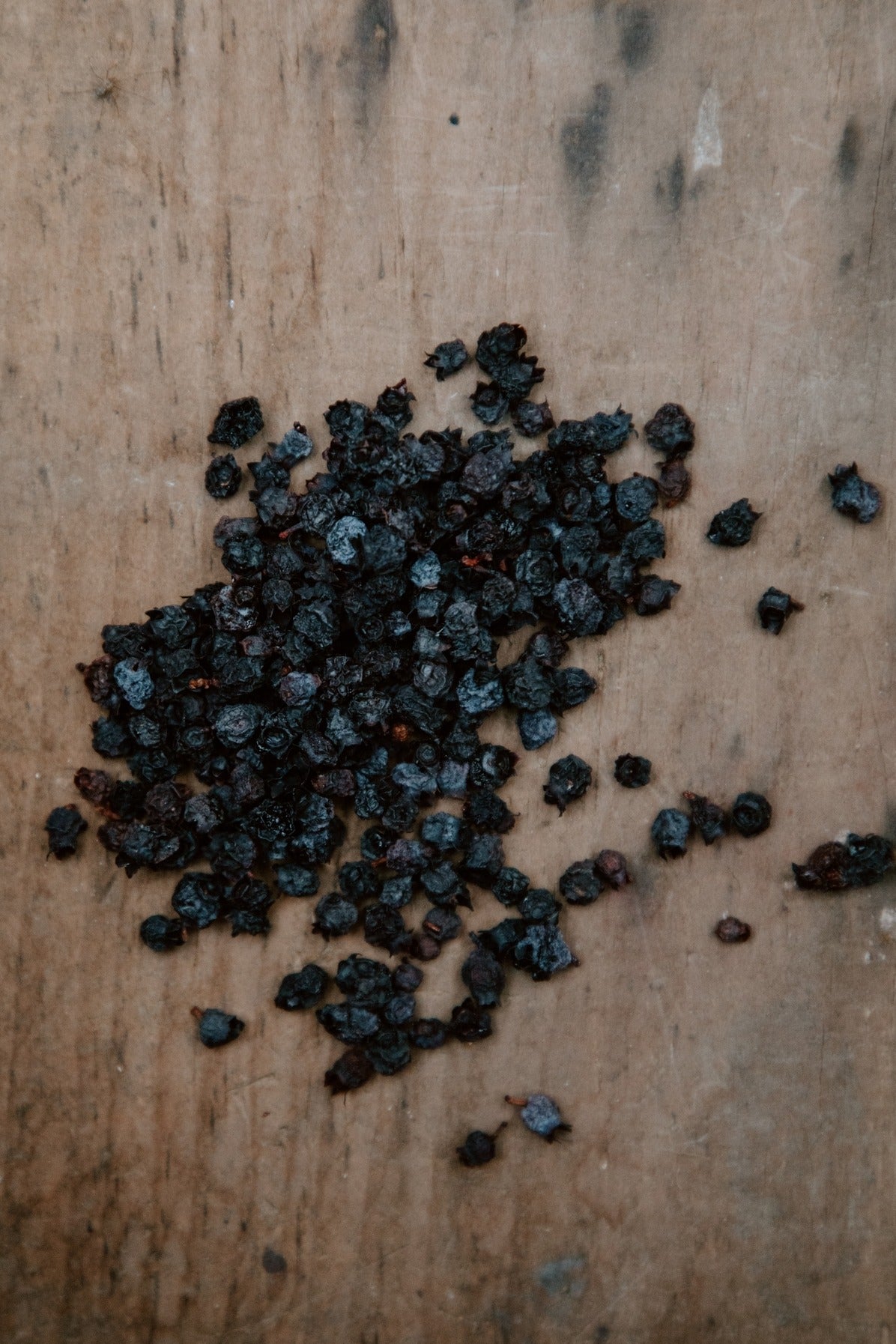 Downeast Caviar - Sundried Blueberries