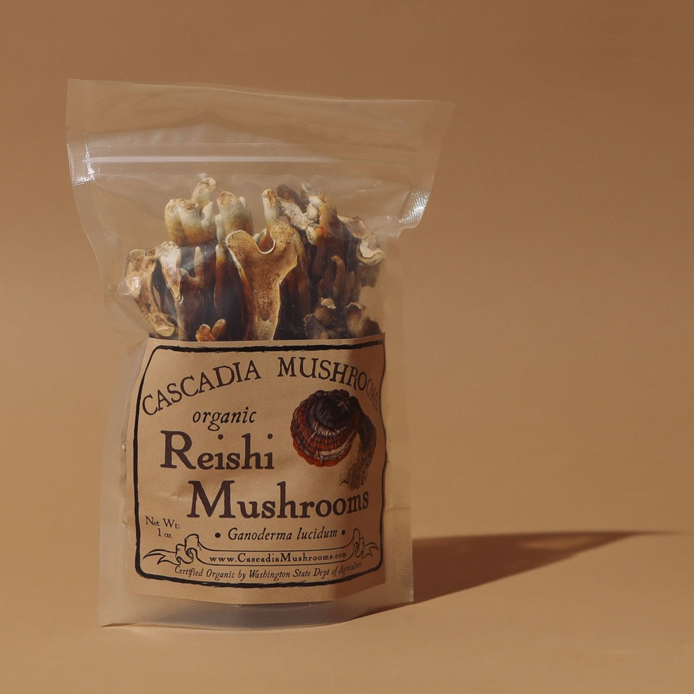 Dried Reishi Mushrooms