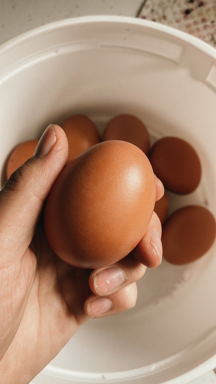 Farm Fresh Eggs - by the dozen