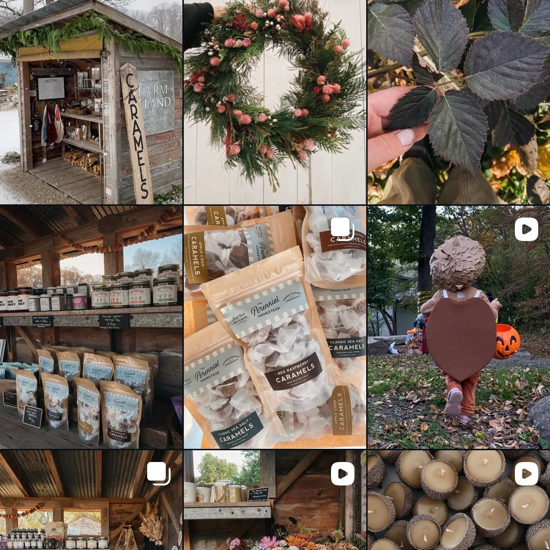 Collage of various images including a small wooden cabin, wreath, plants, and logs.