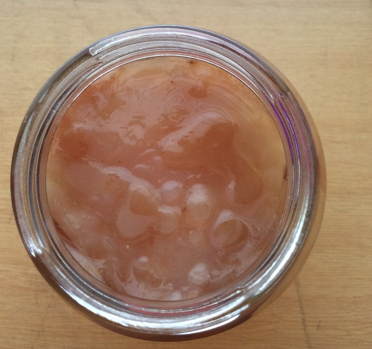 Fresh & Active Kombucha SCOBY