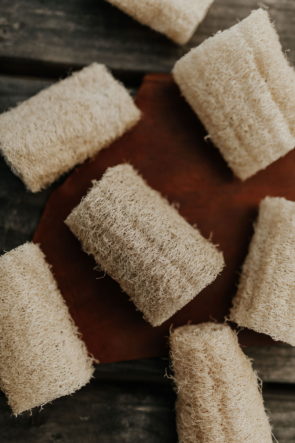 Luffa