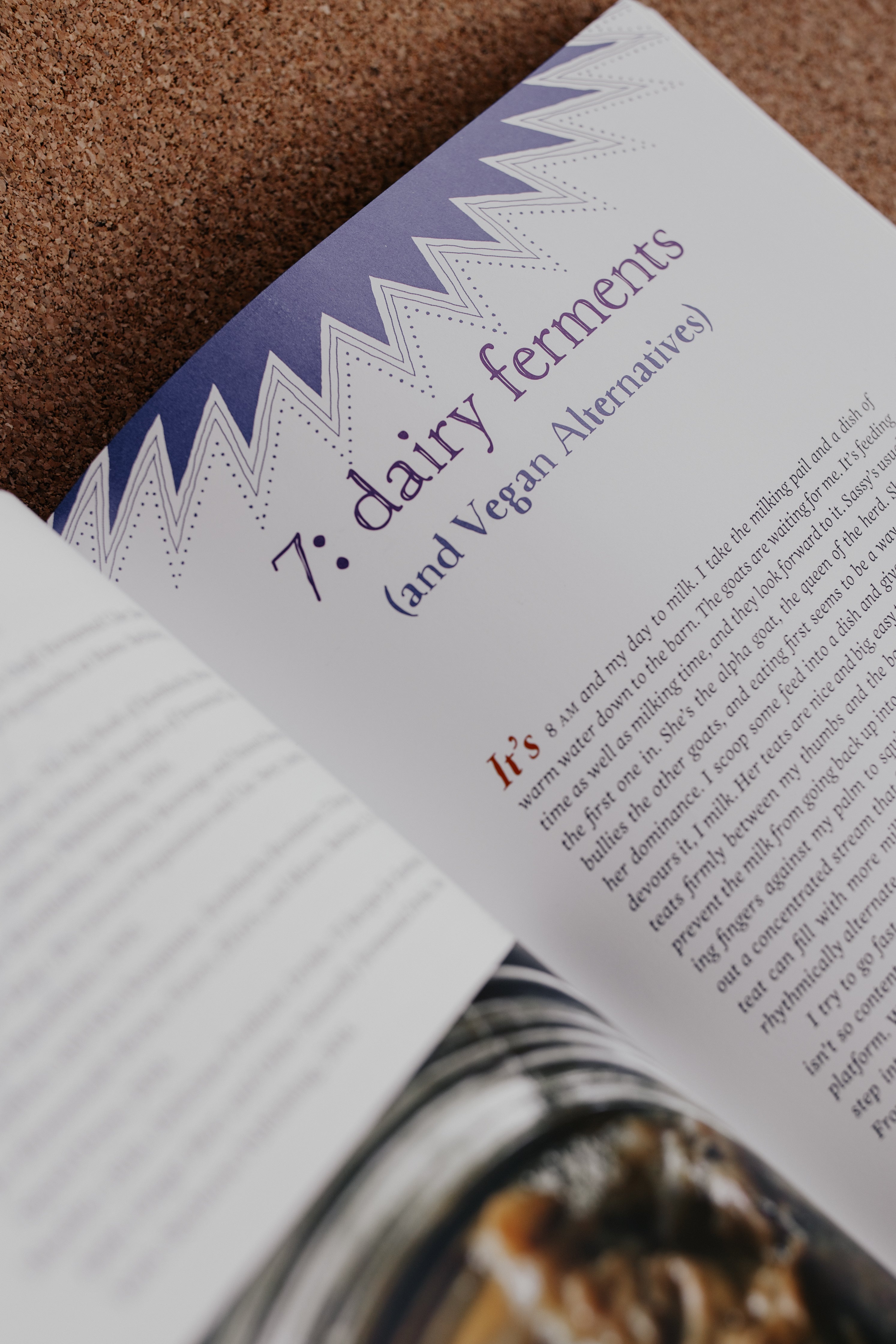 Wild Fermentation Book