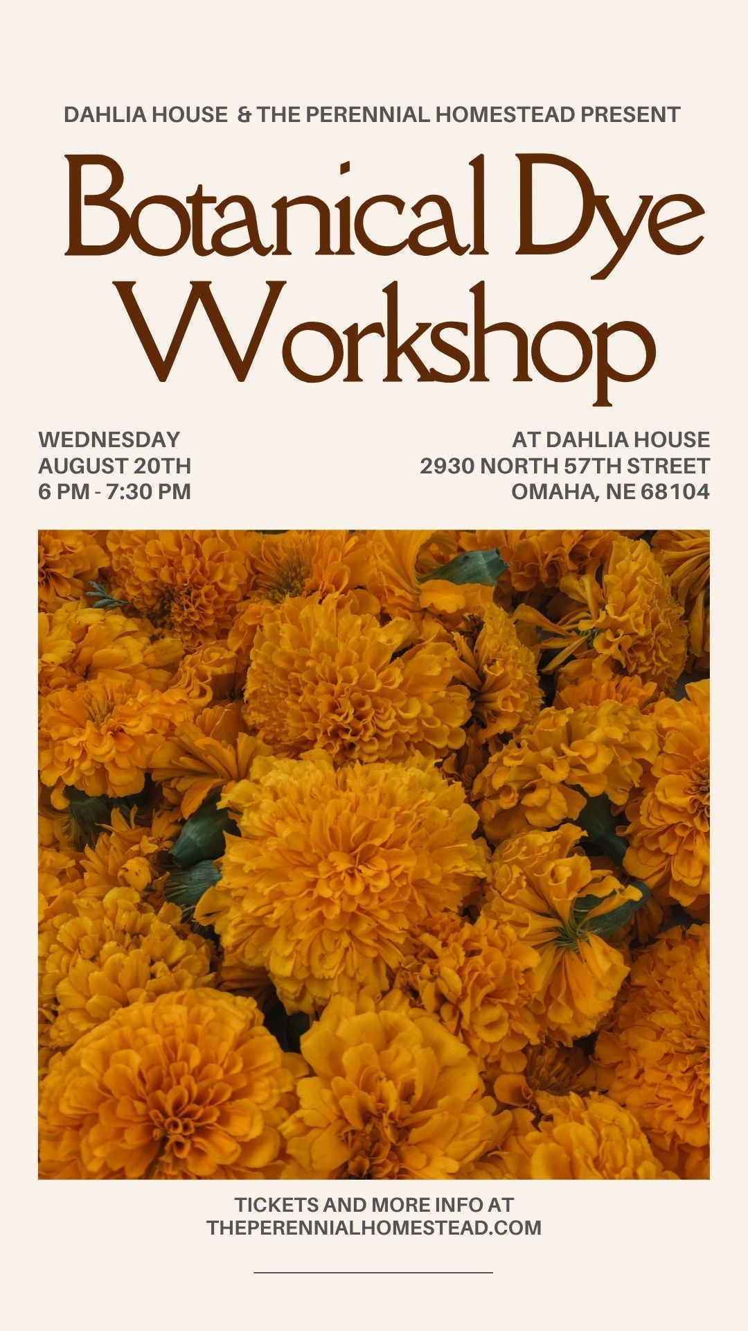 Botanical Dye Workshop - Wednesday, August 20th - 6pm to 7:30pm