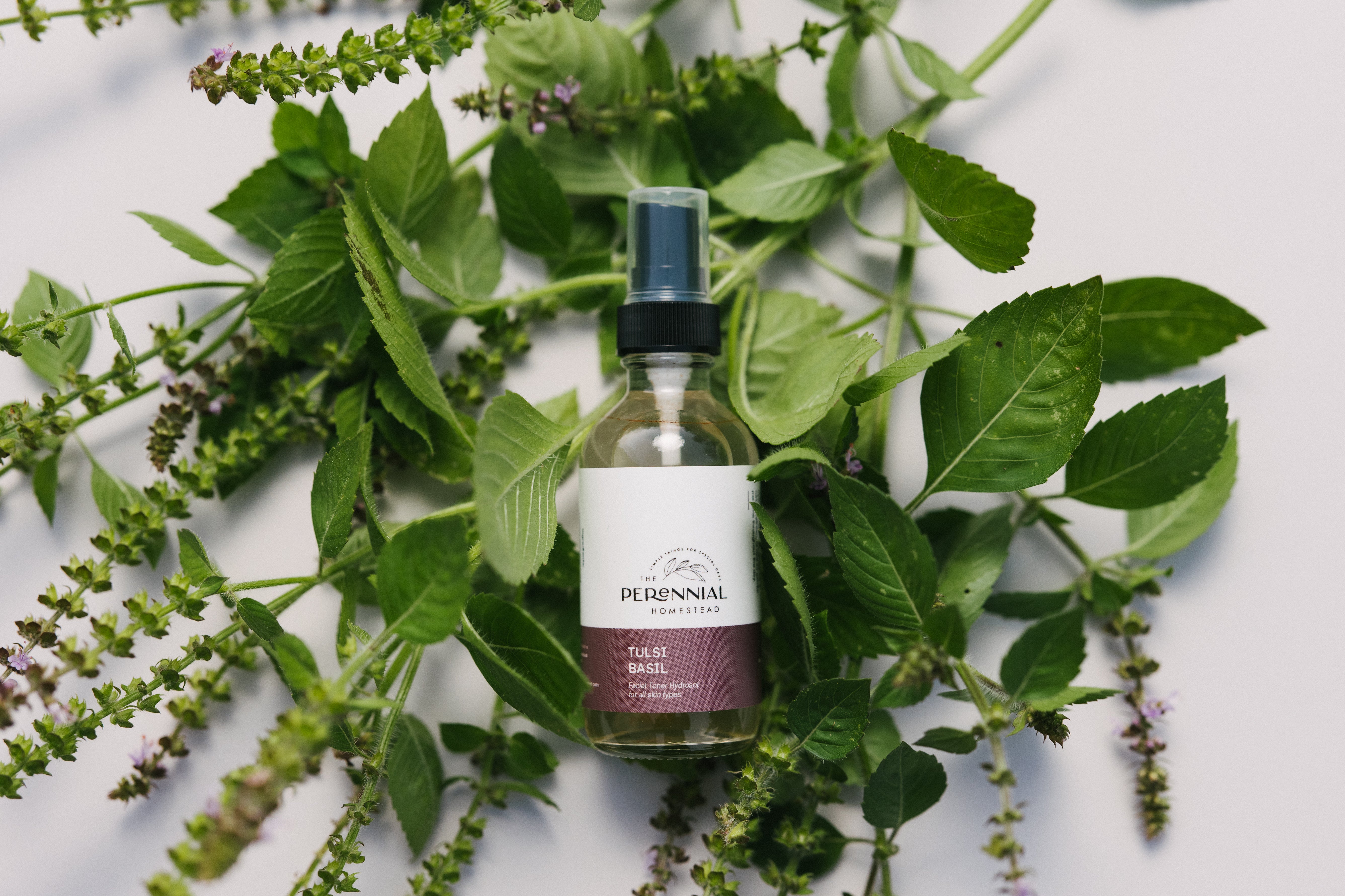 Tulsi Basil Herbal Hydrosol