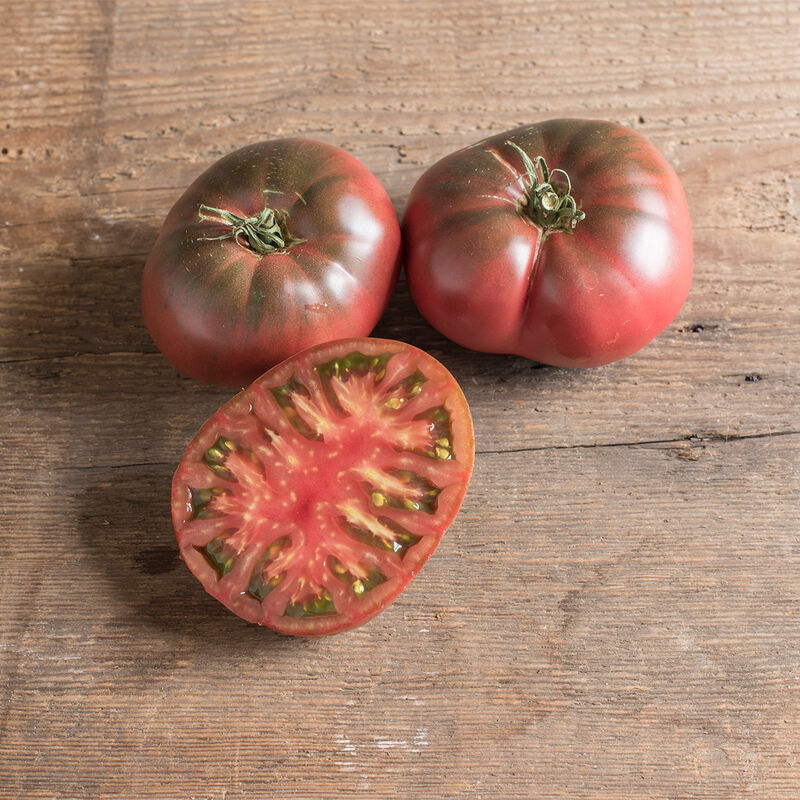 Slicers Tomato Plants