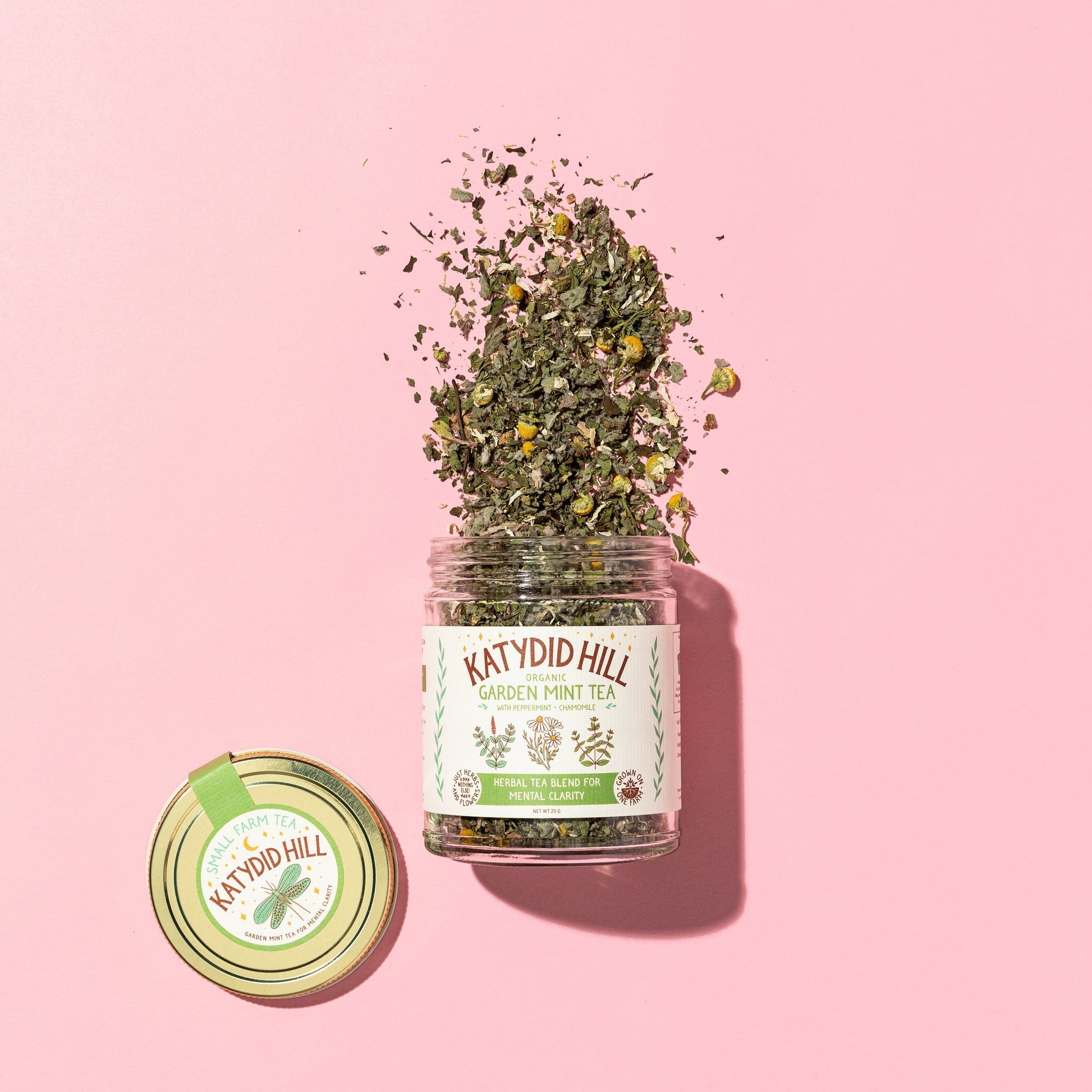 Garden Mint