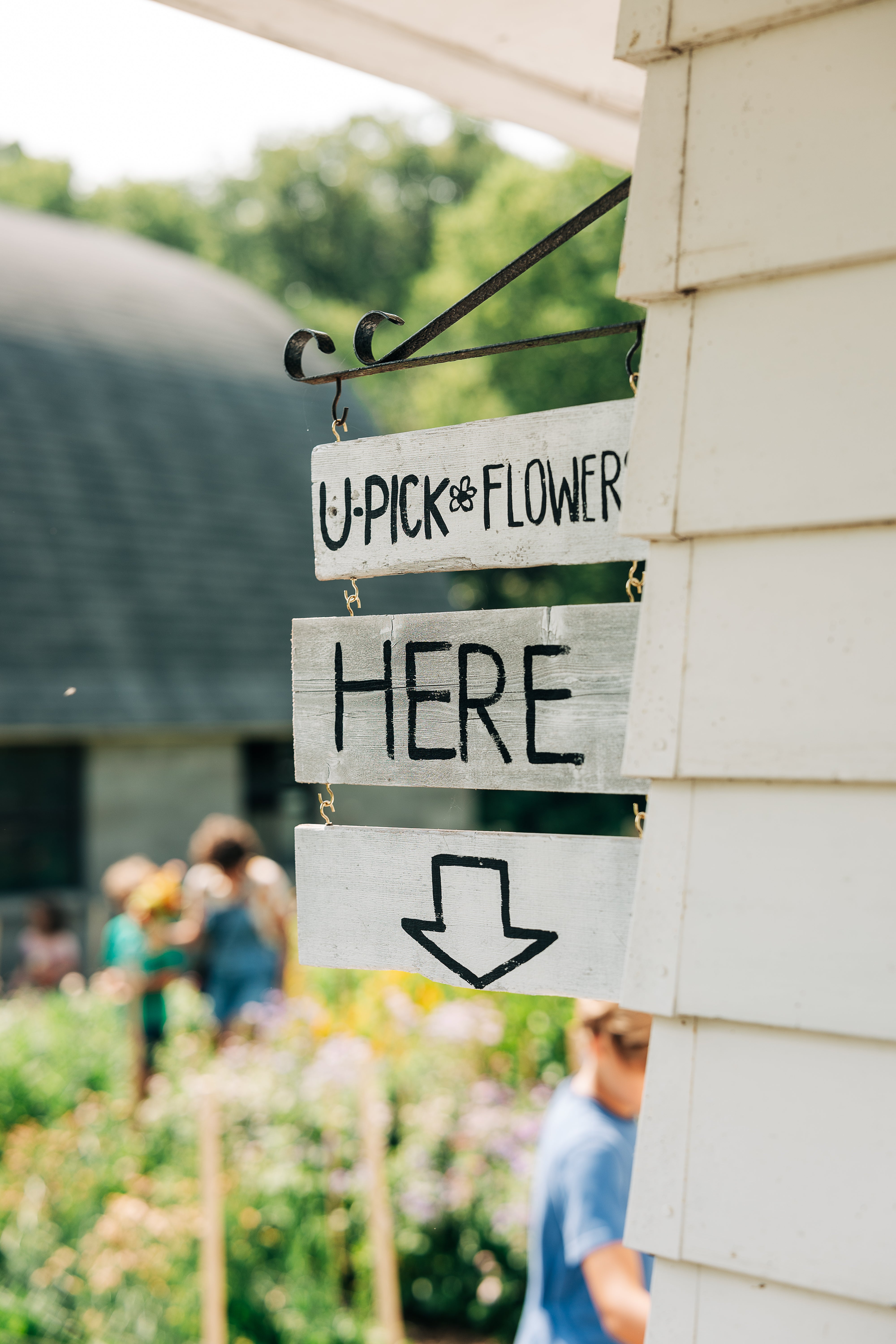 U-Pick Flowers