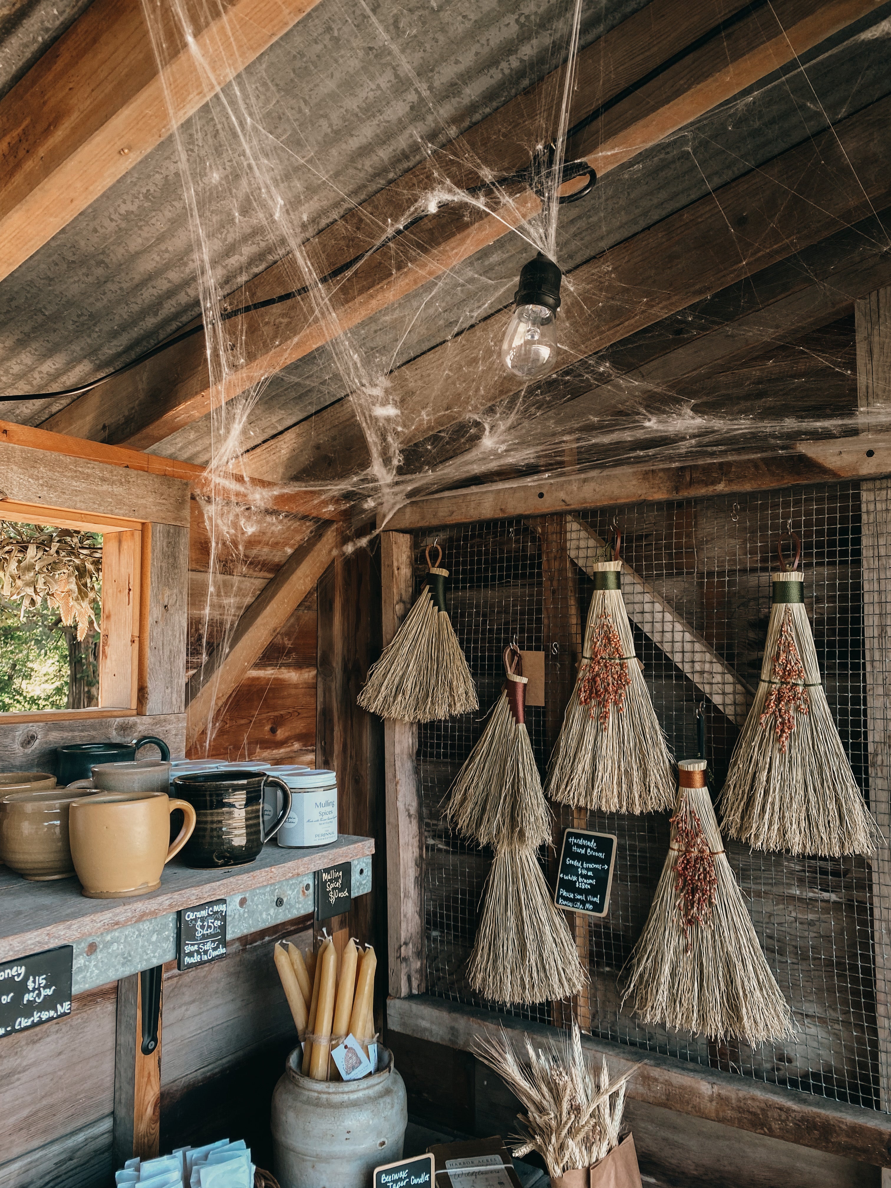 Silk Decorative Spider Web
