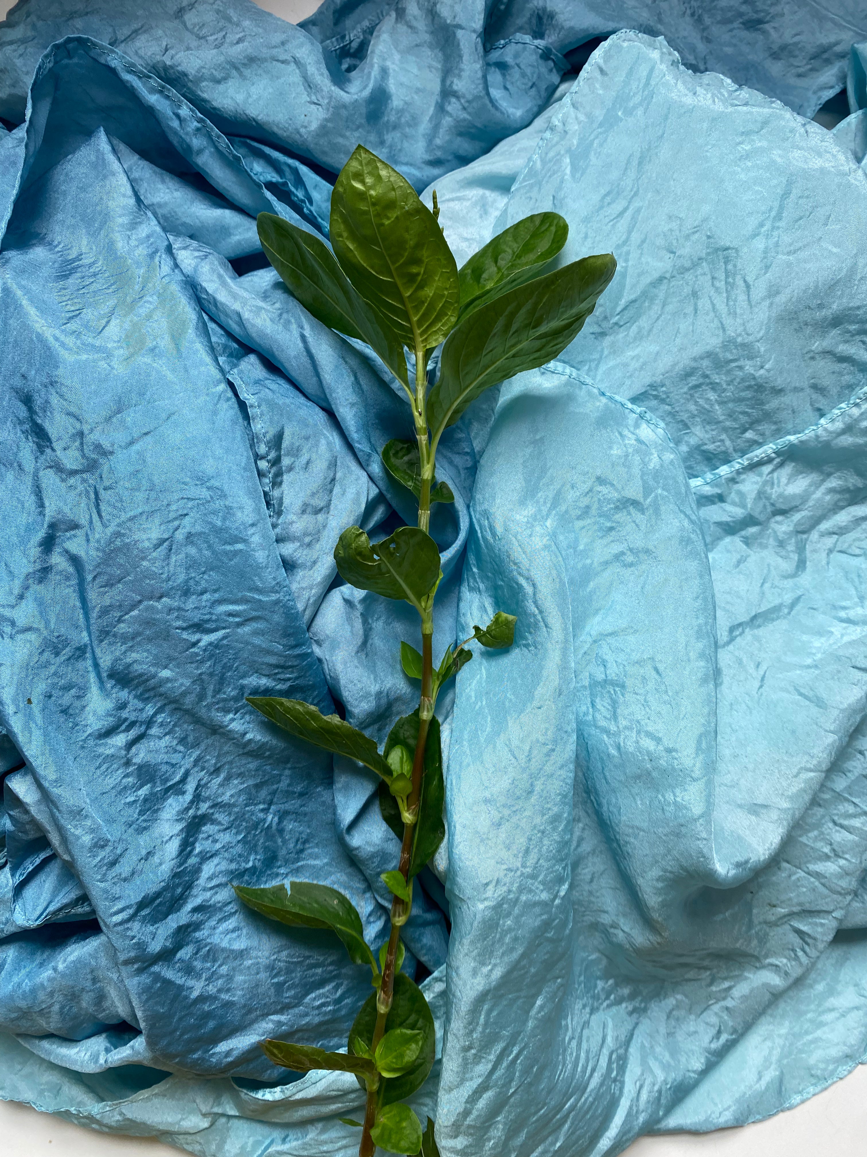 Botanically Dyed Silk Scarf