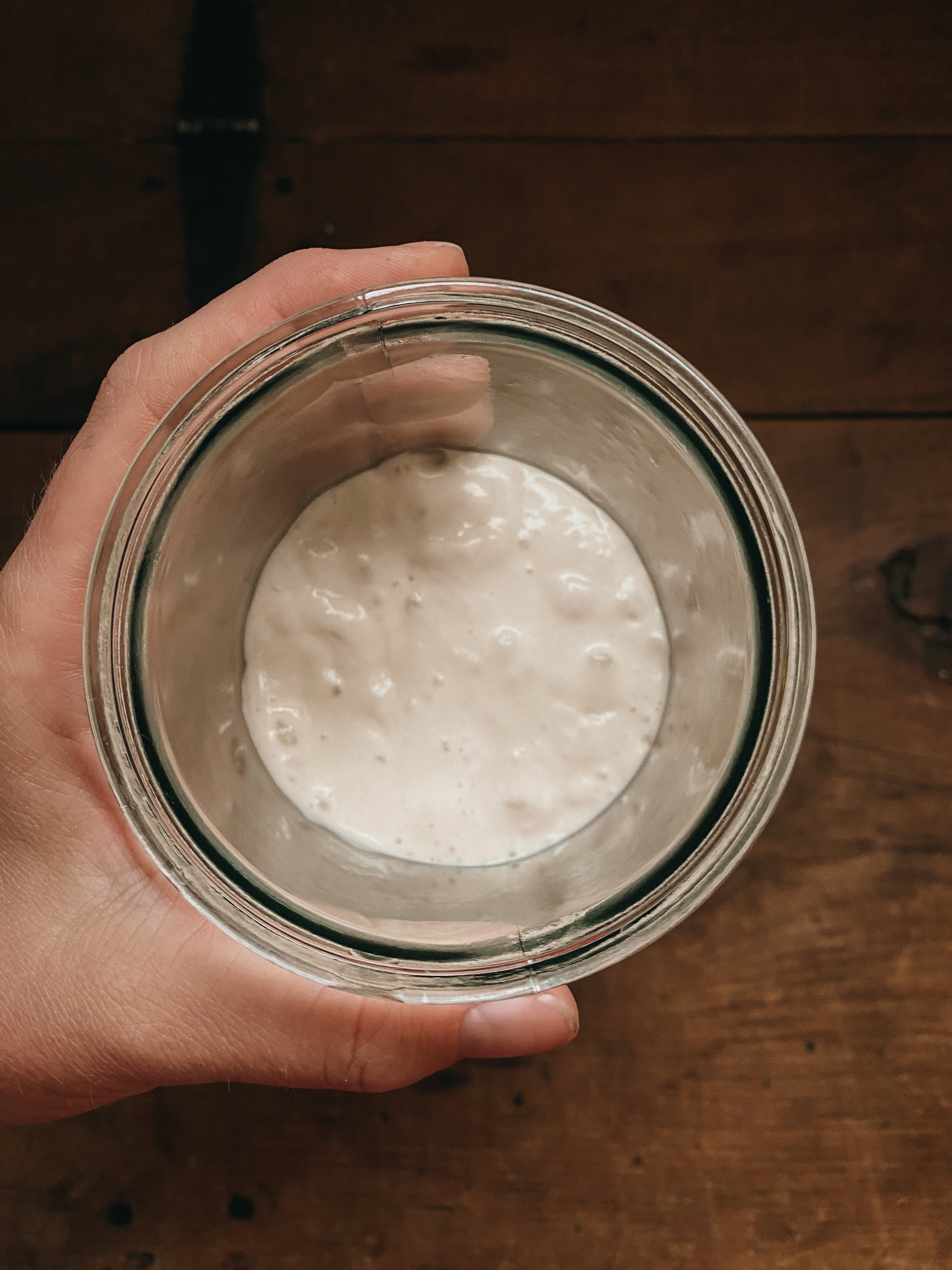 Fresh & Active Sourdough Starter