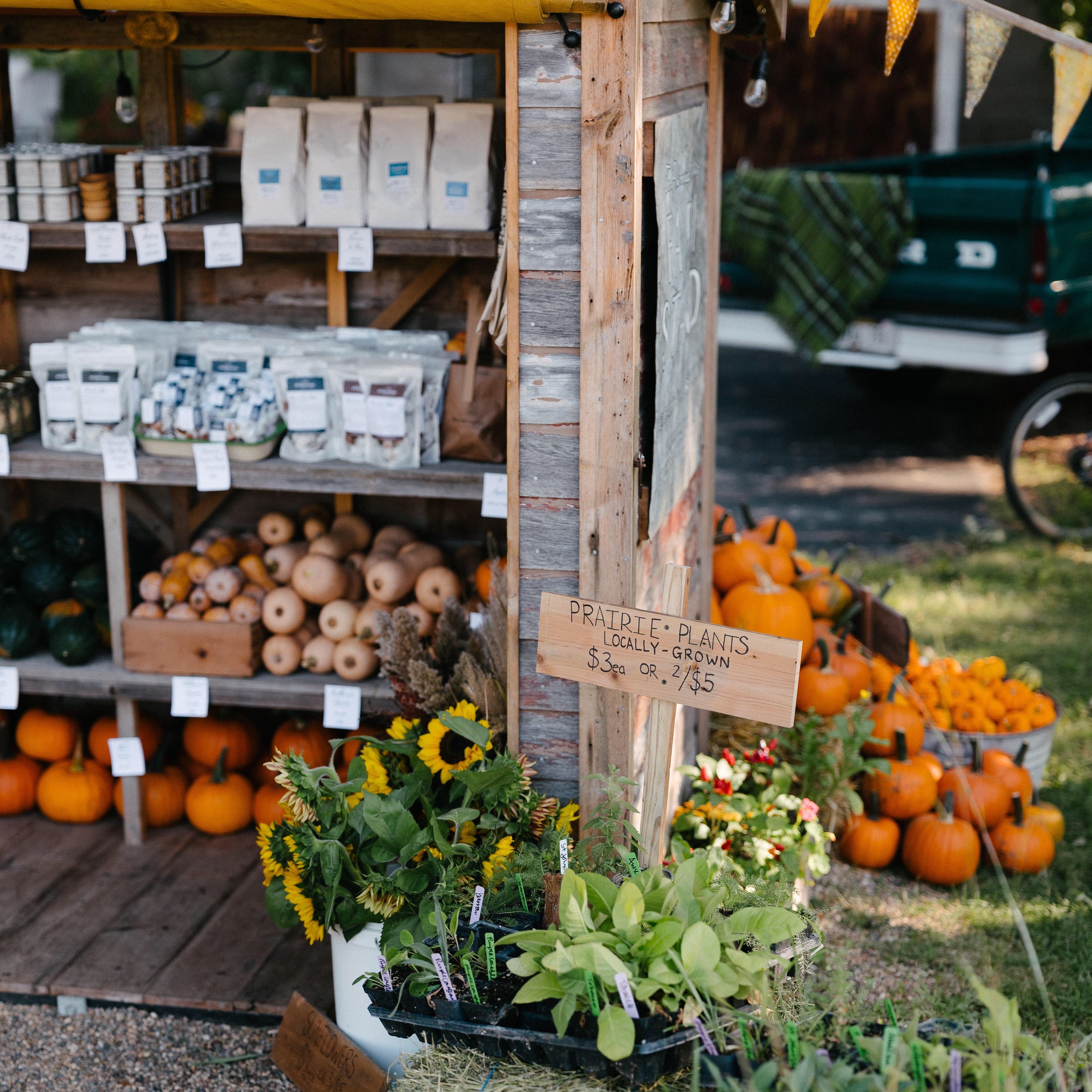 Farmers market with produce and plants on a wooden stand.
