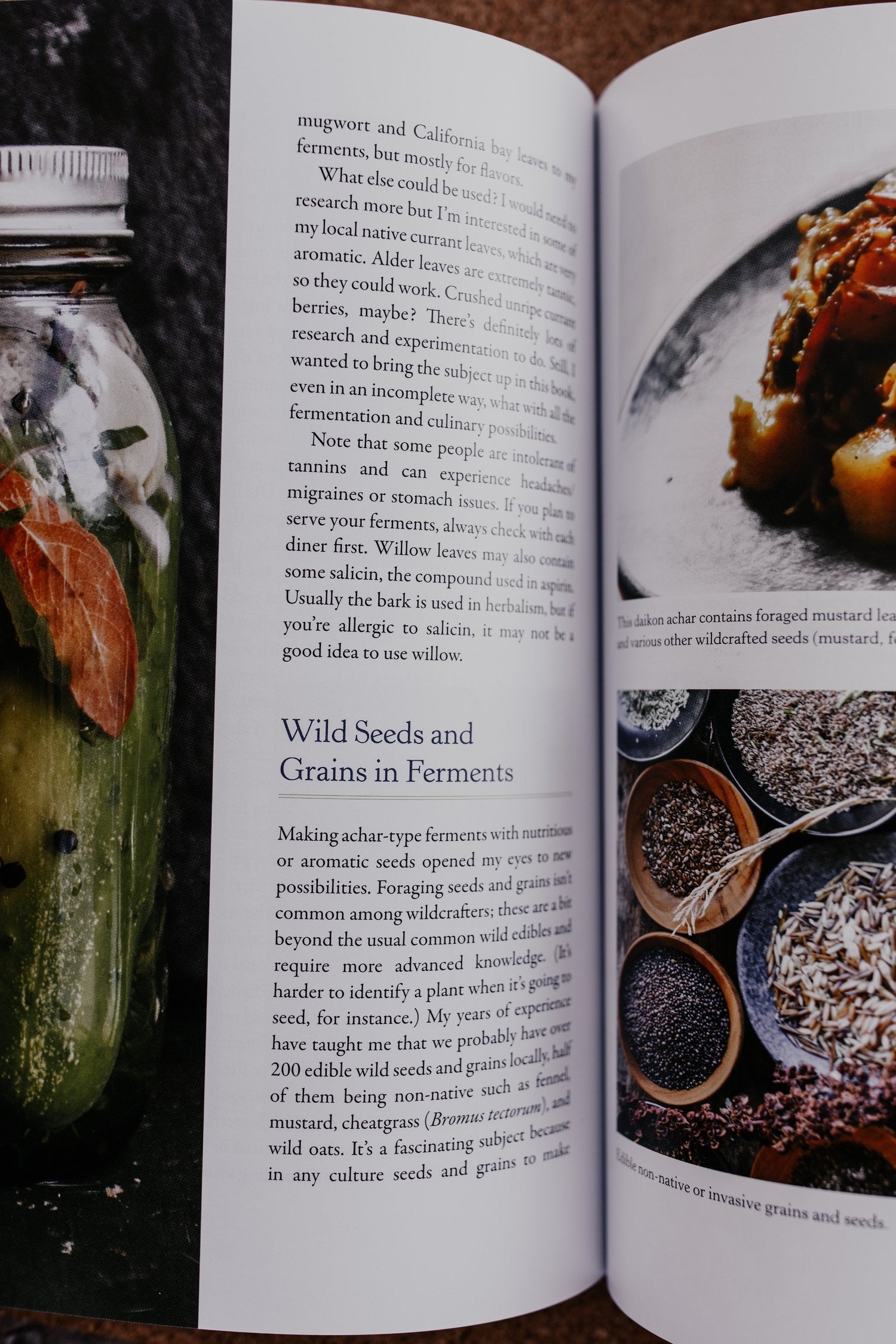 Wildcrafted Fermentation Book